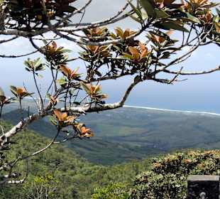 Wunderschöne Aussicht