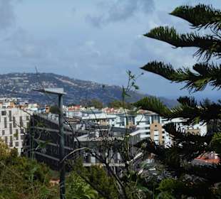 Jardim de São Martinho