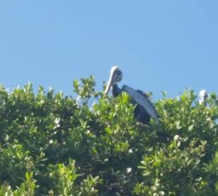 Santi Tour - Sian Kaan