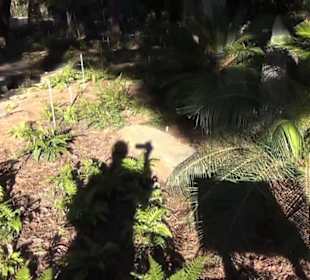 Real Jardín Botánico de Madrid