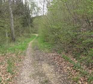 Premiumwanderweg Hochgebürzelt
