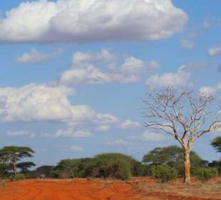 Tsavo Ost - ein Traum!