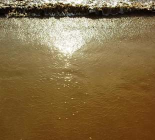 Inspirationen an d.Strandprom.entlang Nov.2010