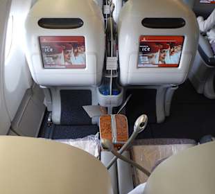 Emirates Airbus A 340-500, Business Class, SEZ-DXB