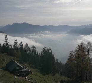 Katrin Alm