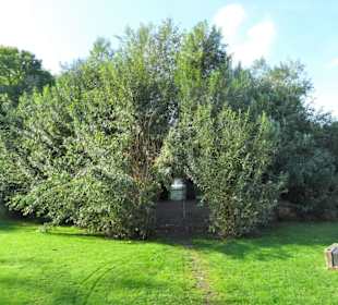 Der Gesundheitspark Speckenbüttel im Herbst