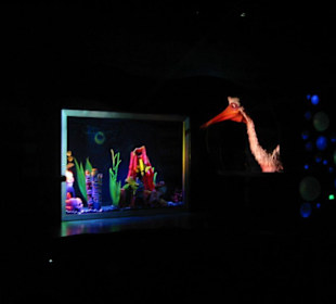 Nemo Musical @ Animal Kingdom