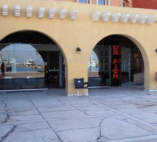 Eingang Dr. Fish Body Care 