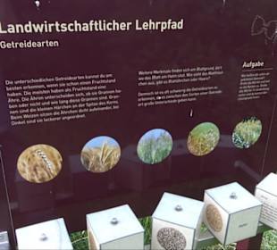 ALB-GOLD Naturgarten