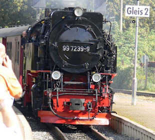 Mit Volldampf auf den Brocken