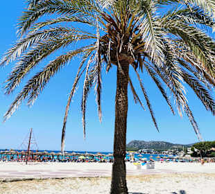 Stadtrundgang Peguera