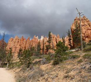 Bryce Canyon N.P.