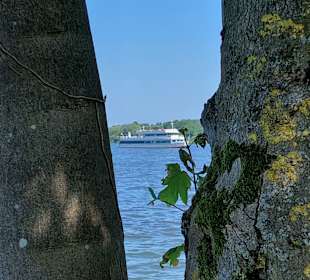 Bootsfahrt auf dem Zwischenahner Meer