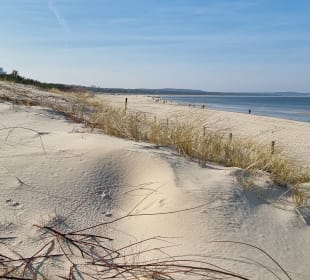 Dünen