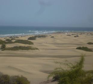 Dünen Maspalomas