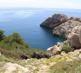 Umgebung Leuchtturm  Cala Ratjada