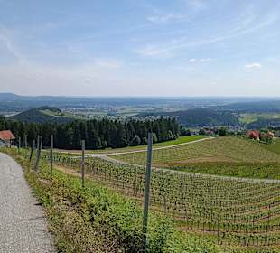 Weg Richtung Wartenstein