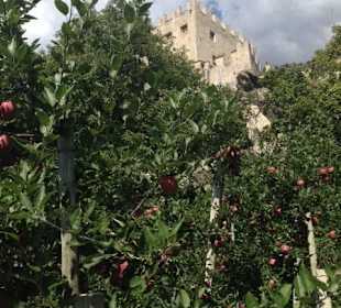 Mit dem Fahrrad unterwegs