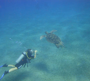 Płetwonurek i Żółw