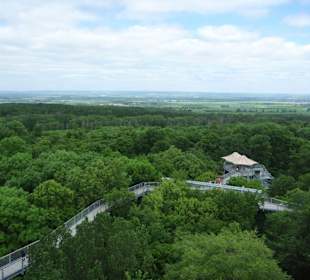 Baumkronenpfad Hainich