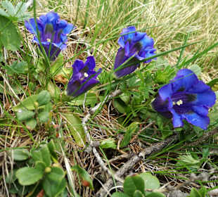 Wandern Sesto / Sexten