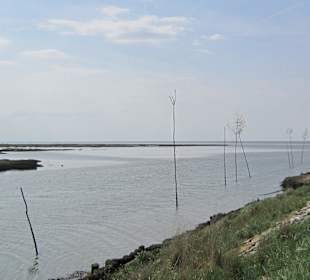 Wandern Hollern-Twielenfleth