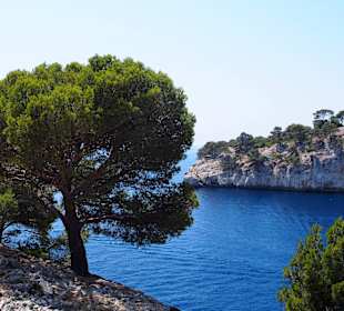 Cassis Calanques