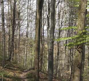 Wanderweg Hochgehkämpft