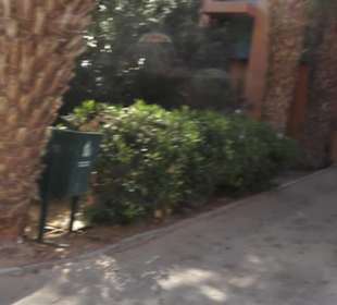 Stadtrundgang El Gouna