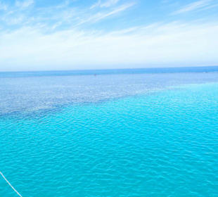 Delphin Tour 