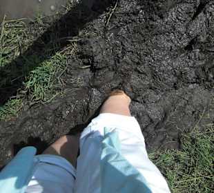 Kurpark - Barfußbad - eine der vielen Stationen