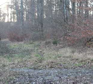 Wanderung rund um den Ochsenweiher