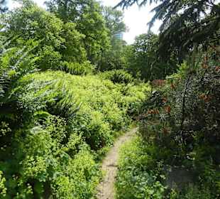 Parkanlage Planten un Blomen