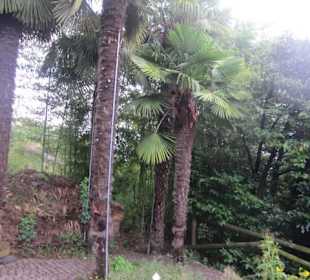 Botanischer Garten Bergamo