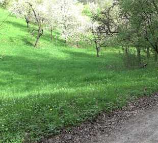 Walderlebnisweg Rottenburg