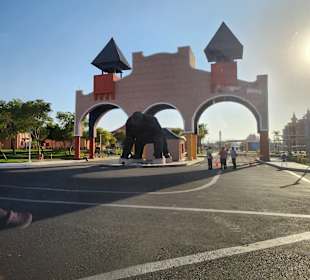 Jungle Aqua Park