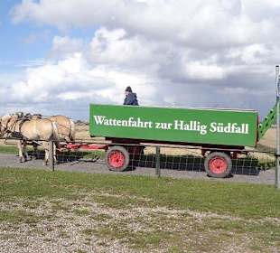 Der wartet auf die Gäste