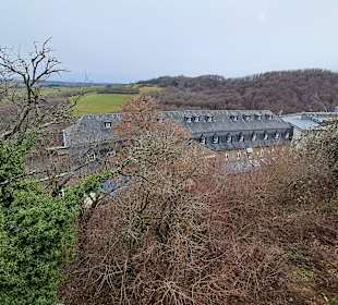 Burgruine Lichtenberg Thallichtenberg