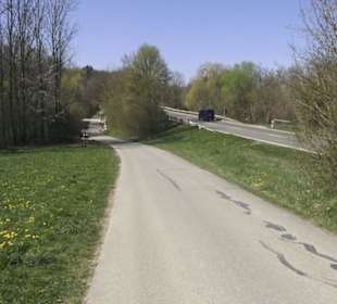 Grillstelle am Markwasen 