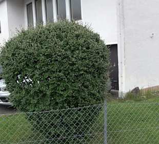 Neuapostolische Kirche Dietersweiler