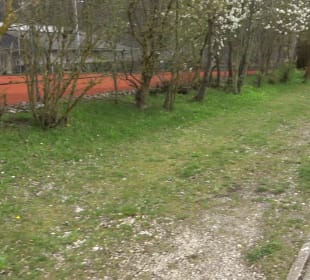 Tennisanlage Sonderbuch