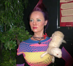 Monique van der Werff