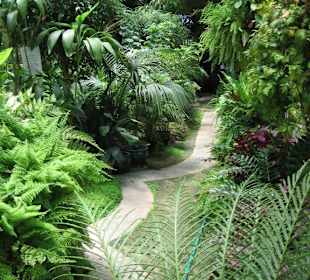 Im Gewächshaus des Palazzo Parisio