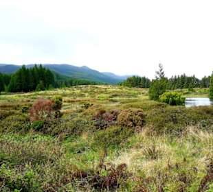 Inselrundfahrt Terceira