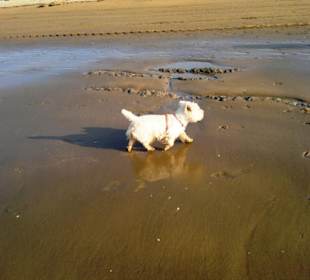 Strand in Bibione Juni 2012