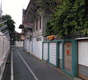 Mit Green Mango das ursprüngliche BKK entdecken