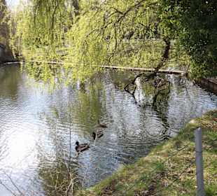 Idylle im Schlospark