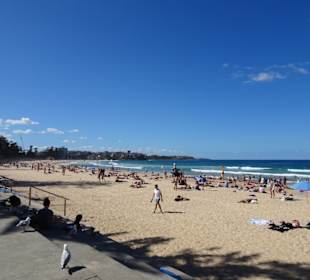 Stadtrundgang Sydney