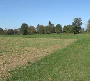 Kelten-Erlebnis-Pfad Erkenbrechtsweiler