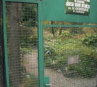 Wejście